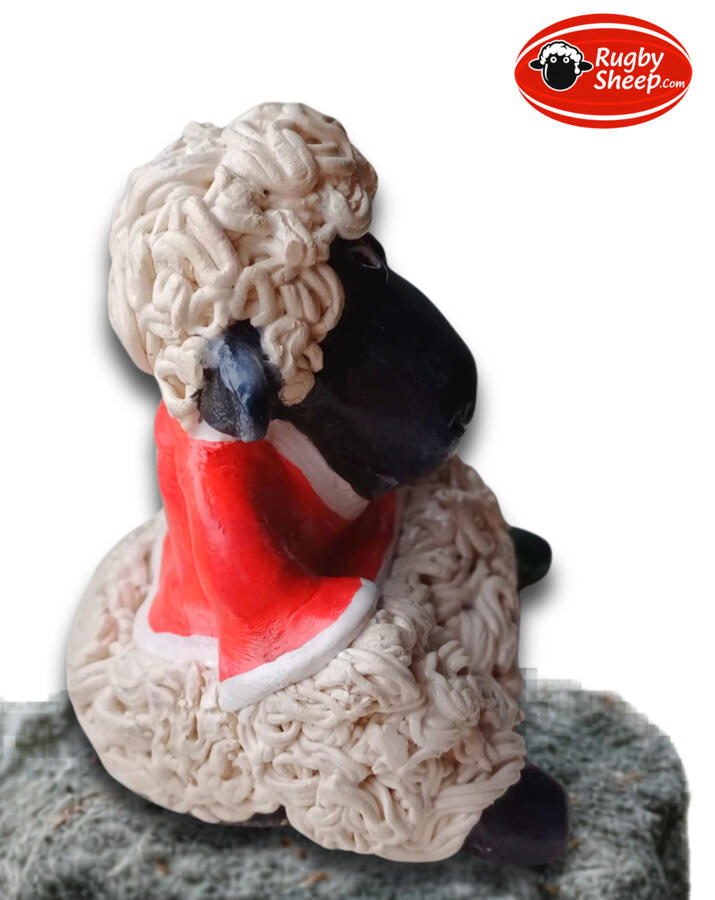 Rugby Sheep right Rugby Sheep right