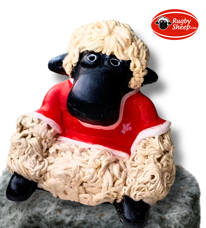 Welsh Team Sheep - Front Welsh Team Sheep - Front